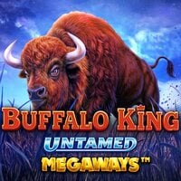 Buffalo King Untamed Megaways